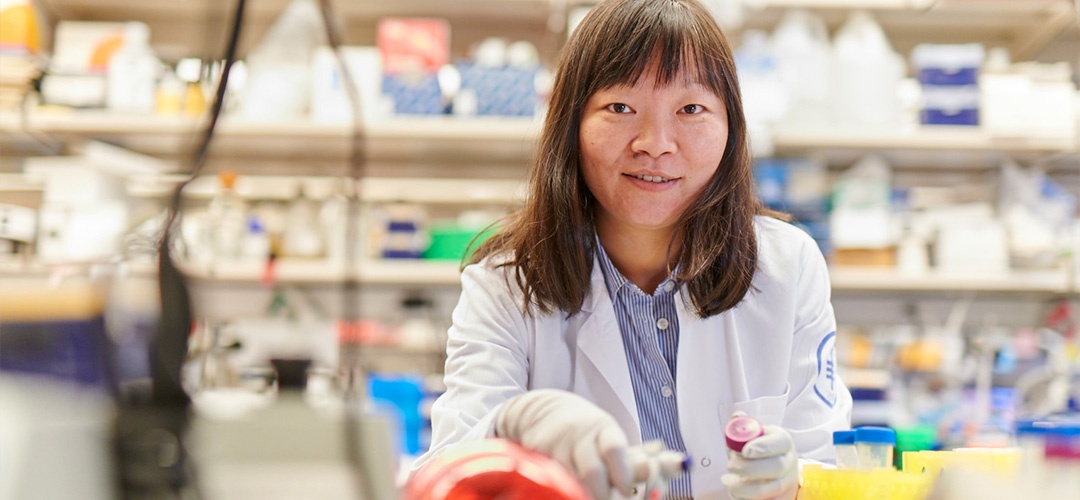 Memorial Sloan Kettering physician-scientist Ping Chi conducts breakthrough research to outsmart sarcoma