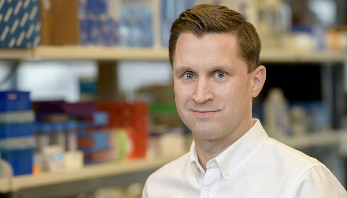 Targeting lymphoma's weaknesses